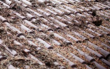 New Hartley roof cleaning companies