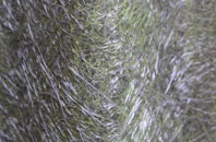 New Hartley fibreglass roof work